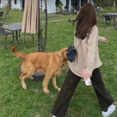 一个计程车司机的历险记